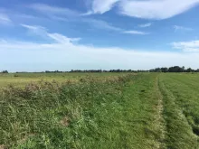 Walking route trough the meadows